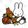 flat750x075f pad750x750f8f8f8 70 - Miffy Merch